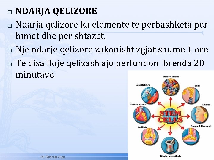 � � NDARJA QELIZORE Ndarja qelizore ka elemente te perbashketa per bimet dhe per