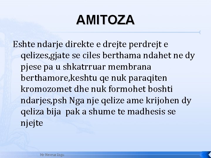 AMITOZA Eshte ndarje direkte e drejte perdrejt e qelizes, gjate se ciles berthama ndahet