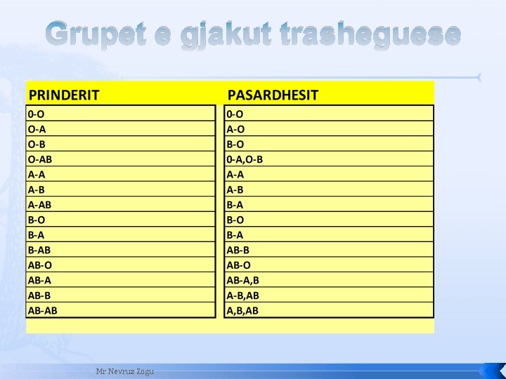 Grupet e gjakut trasheguese Mr Nevruz Zogu 