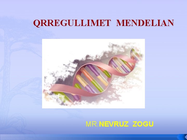 QRREGULLIMET MENDELIAN MR. NEVRUZ ZOGU 