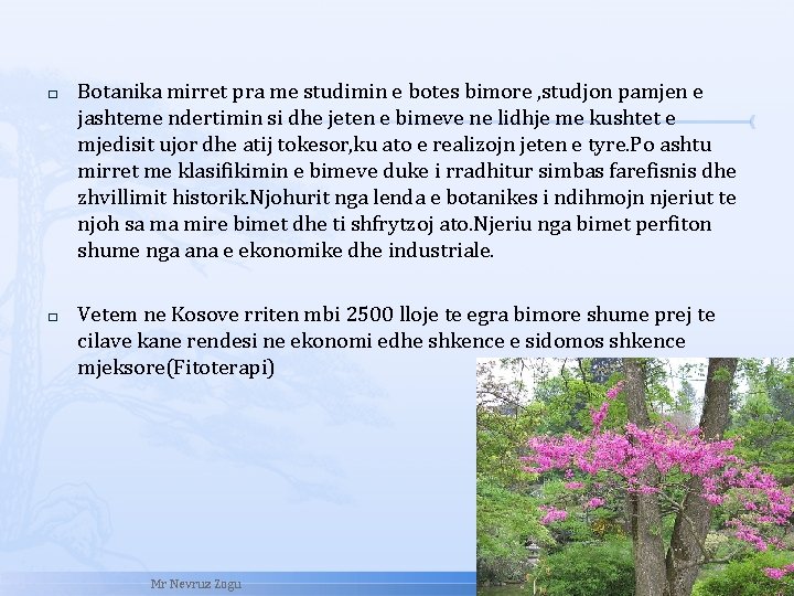 � � Botanika mirret pra me studimin e botes bimore , studjon pamjen e