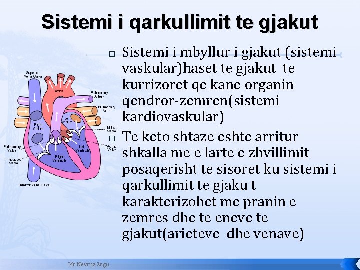 Sistemi i qarkullimit te gjakut � � Mr Nevruz Zogu Sistemi i mbyllur i