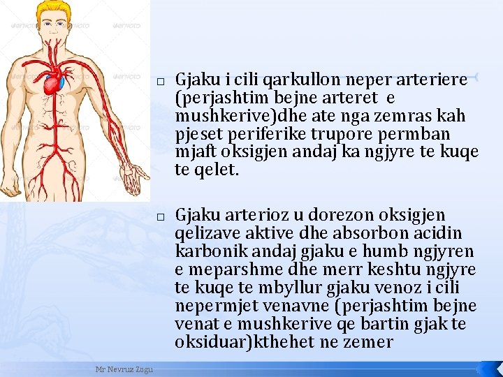 � � Mr Nevruz Zogu Gjaku i cili qarkullon neper arteriere (perjashtim bejne arteret