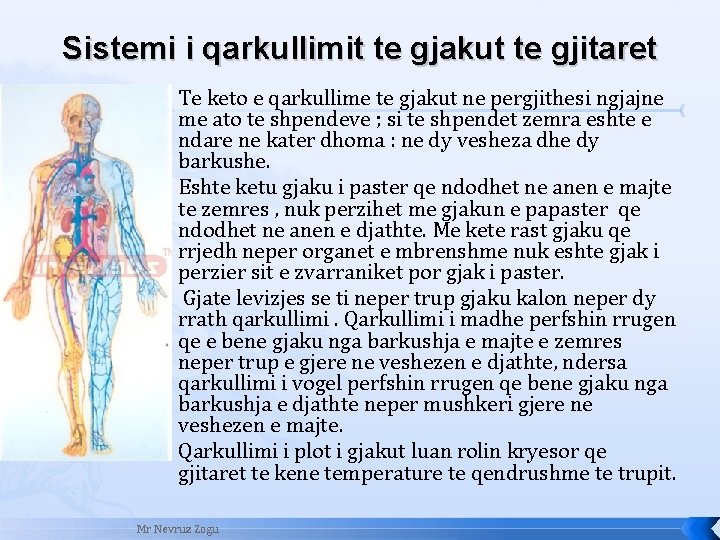 Sistemi i qarkullimit te gjakut te gjitaret � � Te keto e qarkullime te