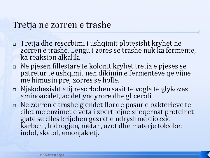 Tretja ne zorren e trashe � � Tretja dhe resorbimi i ushqimit plotesisht kryhet