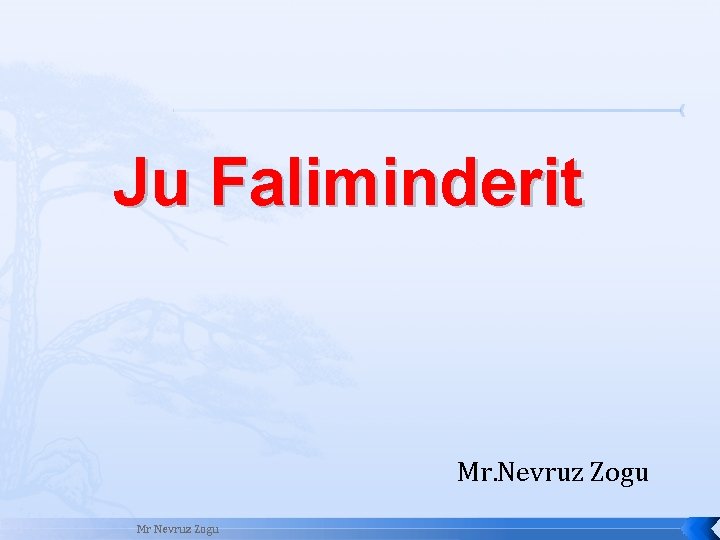 Ju Faliminderit Mr. Nevruz Zogu Mr Nevruz Zogu 