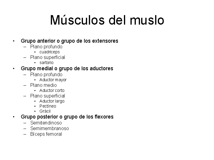 Músculos del muslo • Grupo anterior o grupo de los extensores – Plano profundo