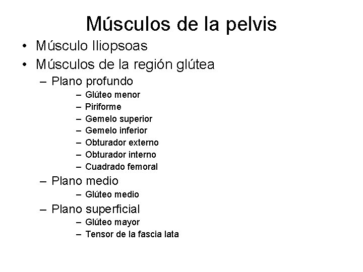 Músculos de la pelvis • Músculo Iliopsoas • Músculos de la región glútea –