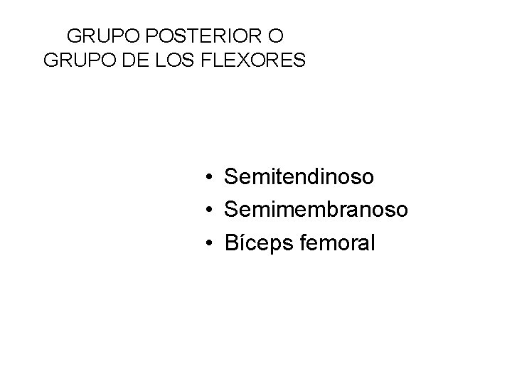 GRUPO POSTERIOR O GRUPO DE LOS FLEXORES • Semitendinoso • Semimembranoso • Bíceps femoral