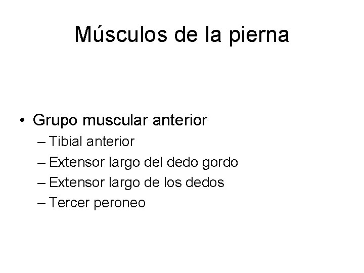 Músculos de la pierna • Grupo muscular anterior – Tibial anterior – Extensor largo