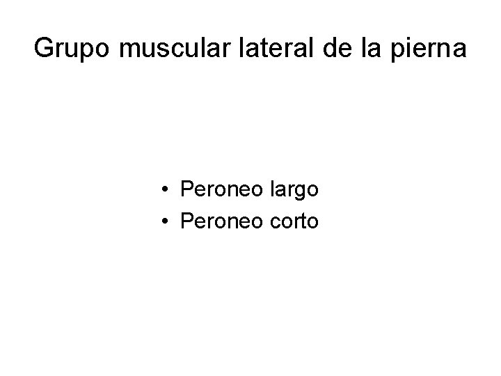 Grupo muscular lateral de la pierna • Peroneo largo • Peroneo corto 