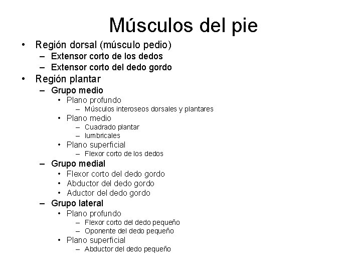Músculos del pie • Región dorsal (músculo pedio) – Extensor corto de los dedos