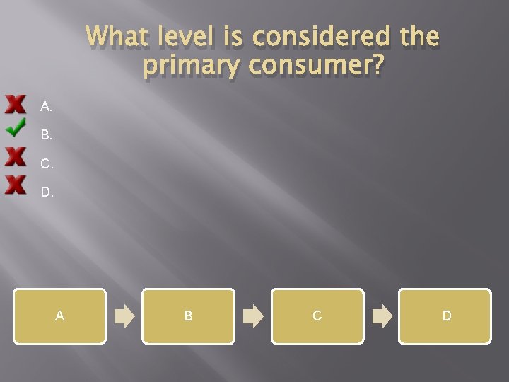 What level is considered the primary consumer? A. B. C. D. A B C