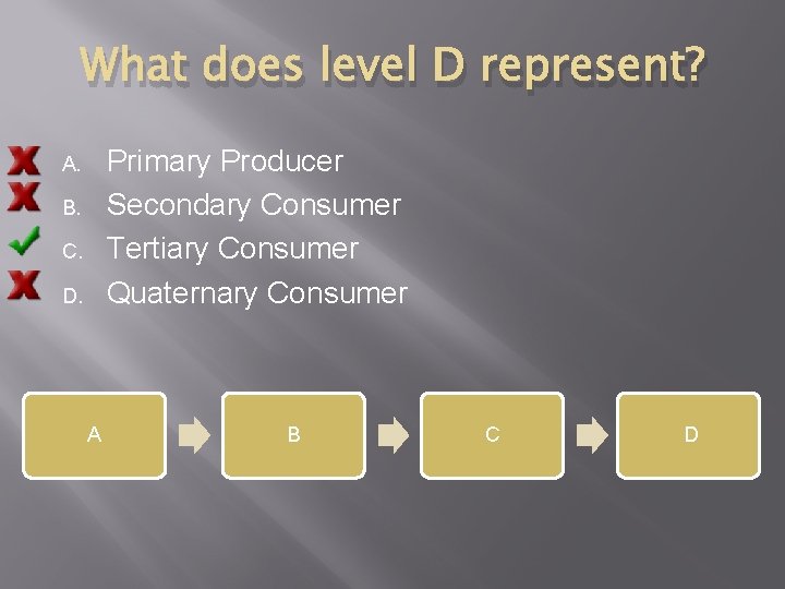 What does level D represent? Primary Producer Secondary Consumer Tertiary Consumer Quaternary Consumer A.