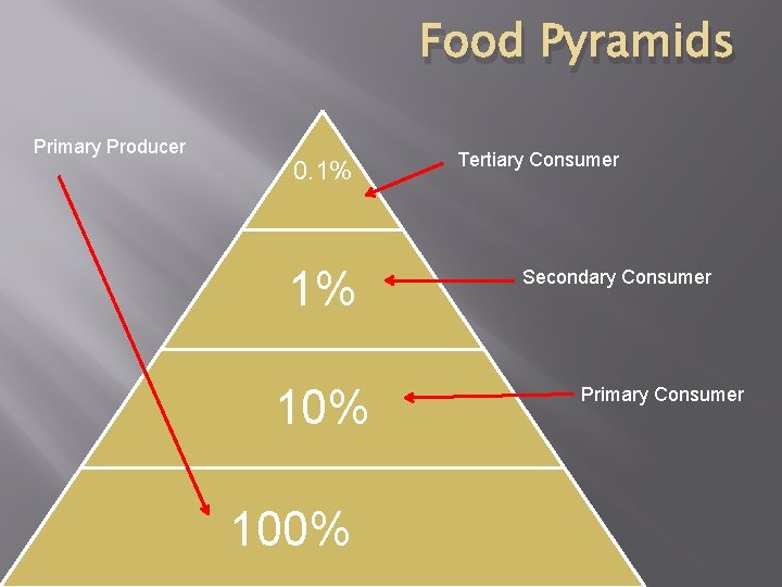 Food Pyramids Primary Producer 0. 1% 1% 100% Tertiary Consumer Secondary Consumer Primary Consumer