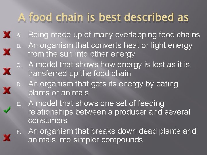 A food chain is best described as A. B. C. D. E. F. Being