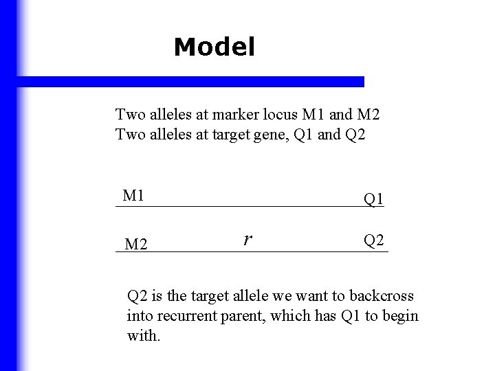 Model Two alleles at marker locus M 1 and M 2 Two alleles at