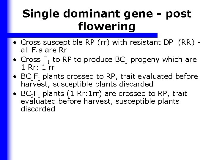 Single dominant gene - post flowering • Cross susceptible RP (rr) with resistant DP