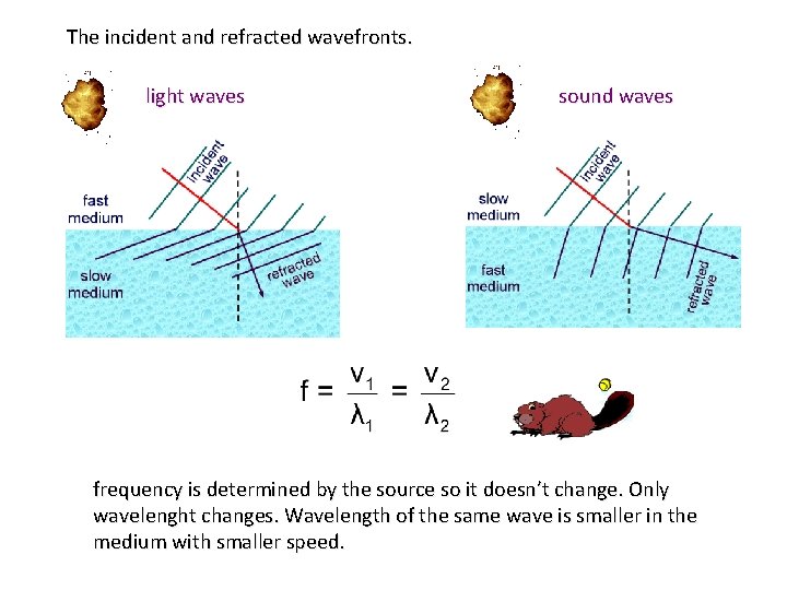 The incident and refracted wavefronts. light waves sound waves frequency is determined by the