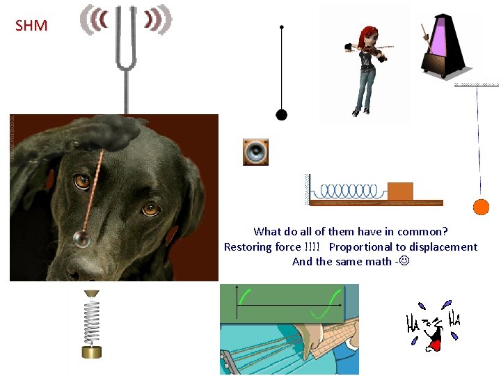 SHM What do all of them have in common? Restoring force !!!! Proportional to