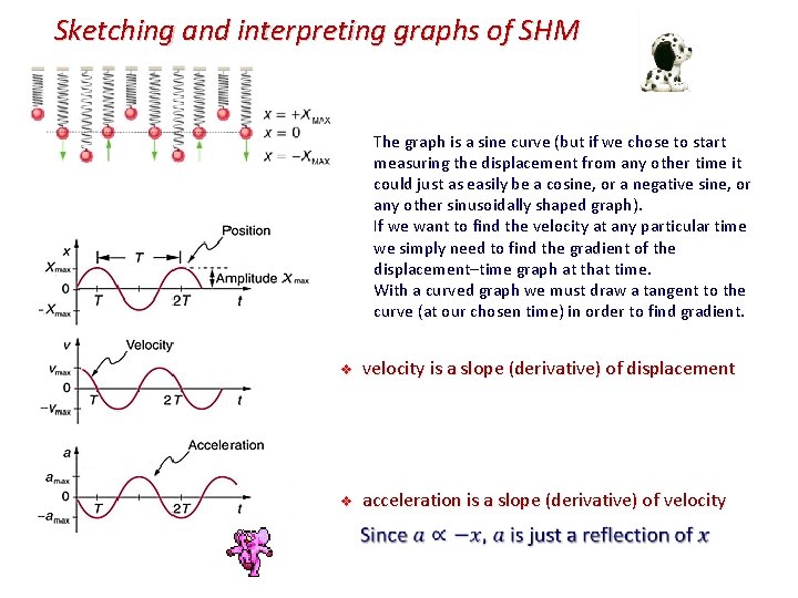Sketching and interpreting graphs of SHM The graph is a sine curve (but if