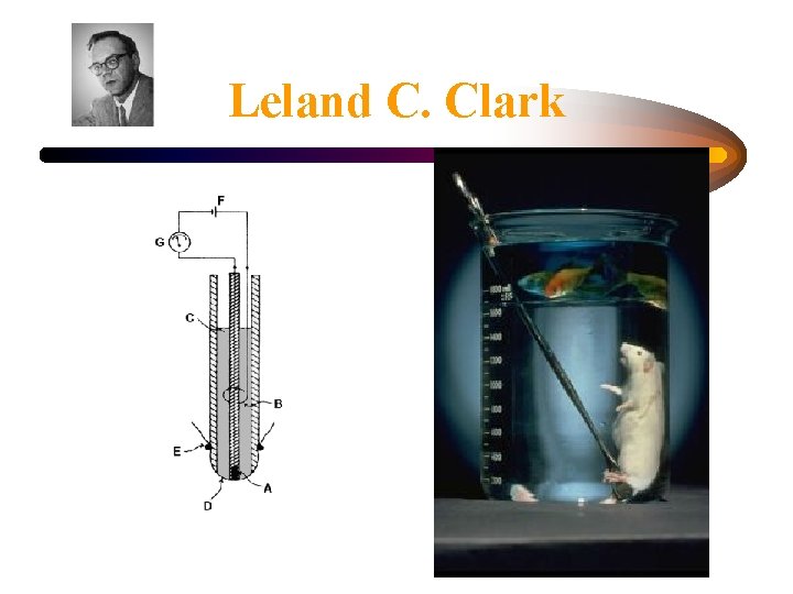 Leland C. Clark 