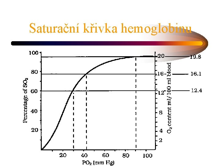 Saturační křivka hemoglobinu 