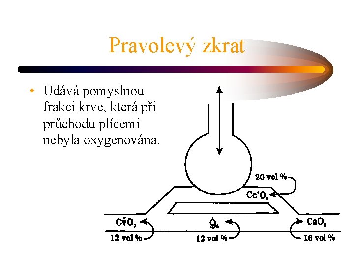 Pravolevý zkrat • Udává pomyslnou frakci krve, která při průchodu plícemi nebyla oxygenována. 