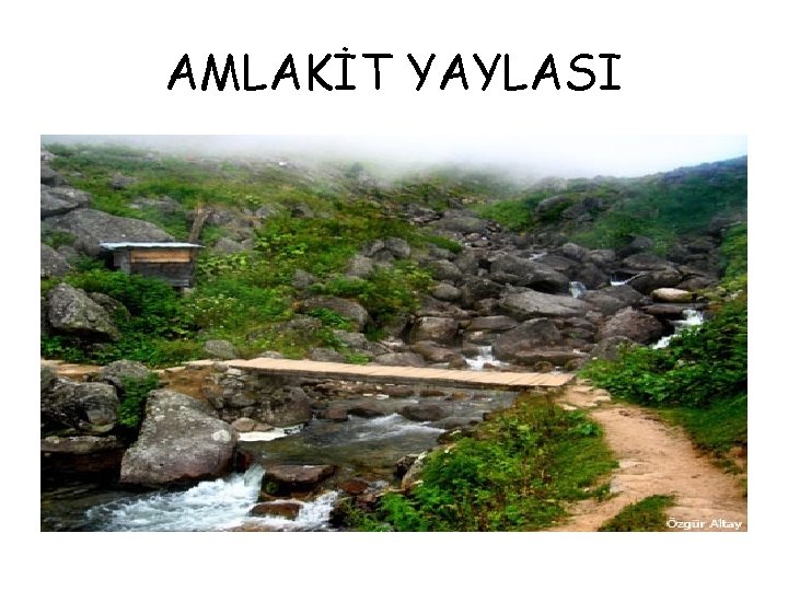 AMLAKİT YAYLASI 