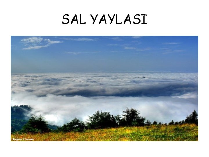 SAL YAYLASI 