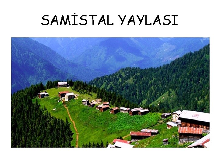 SAMİSTAL YAYLASI 