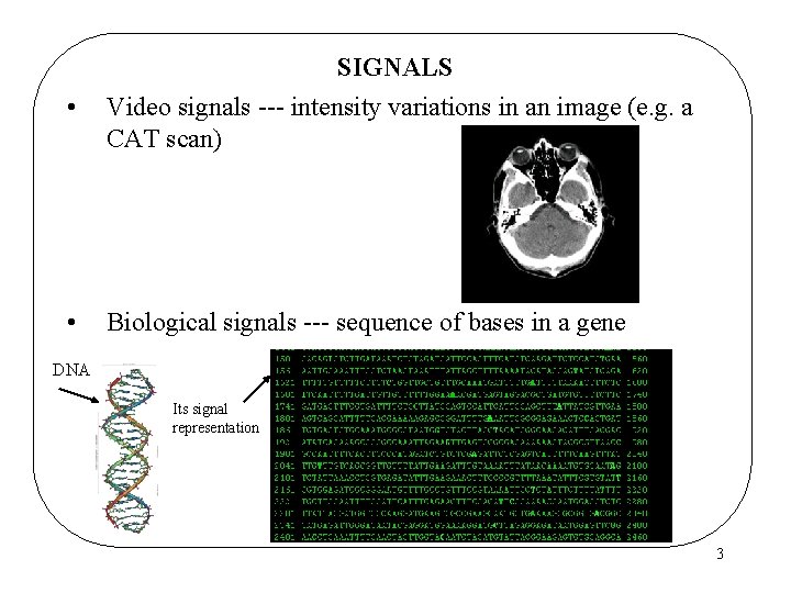  • SIGNALS Video signals --- intensity variations in an image (e. g. a