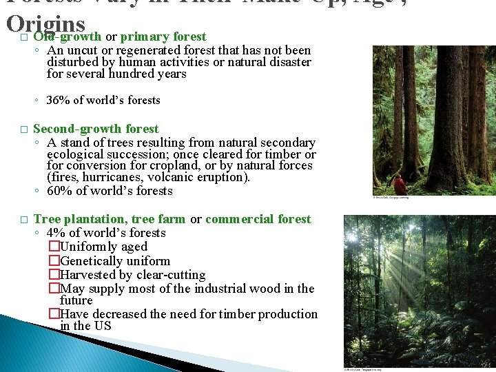 Forests Vary in Their Make-Up, Age , Origins Old-growth or primary forest � ◦