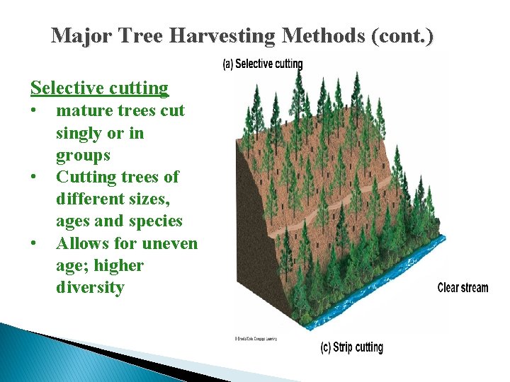 Major Tree Harvesting Methods (cont. ) Selective cutting • • • mature trees cut