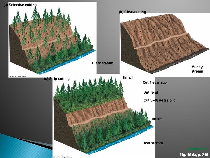 (a) Selective cutting (b) Clear-cutting Clear stream (c) Strip cutting Muddy stream Uncut Cut