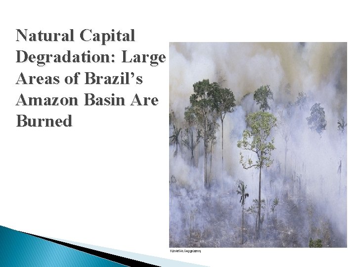 Natural Capital Degradation: Large Areas of Brazil’s Amazon Basin Are Burned 