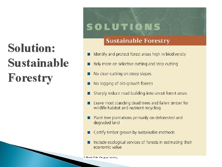 Solution: Sustainable Forestry 