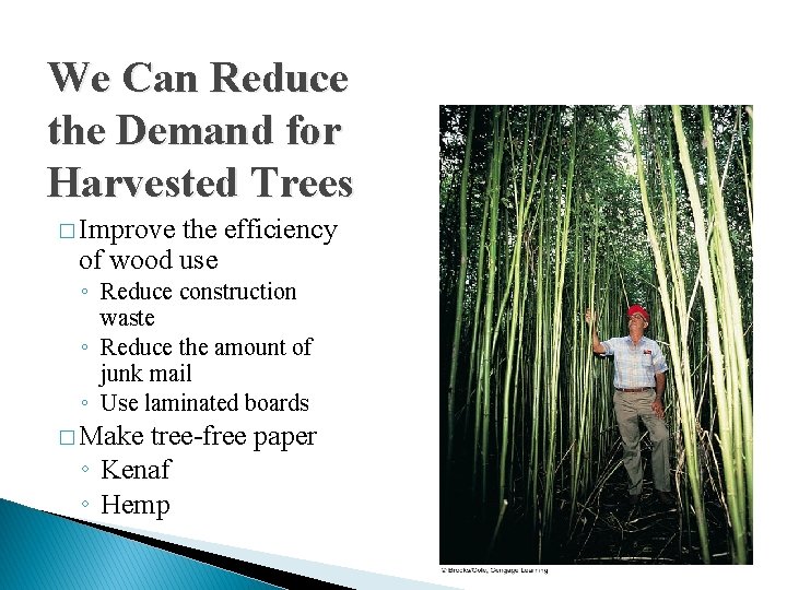 We Can Reduce the Demand for Harvested Trees � Improve the efficiency of wood