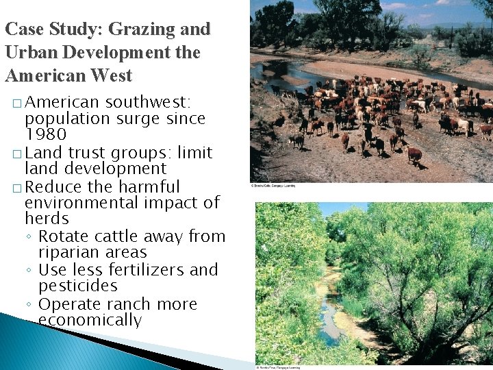 Case Study: Grazing and Urban Development the American West � American southwest: population surge