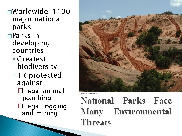 � Worldwide: 1100 major national parks � Parks in developing countries ◦ Greatest biodiversity