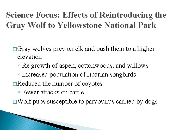 Science Focus: Effects of Reintroducing the Gray Wolf to Yellowstone National Park � Gray