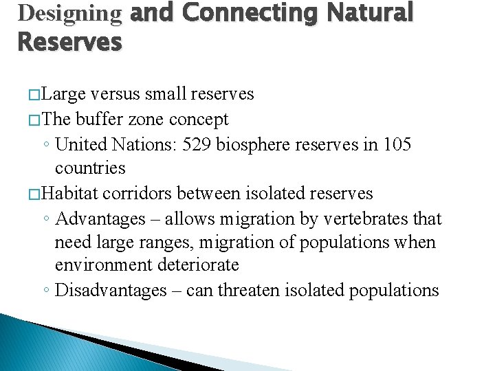 Designing and Connecting Natural Reserves � Large versus small reserves � The buffer zone