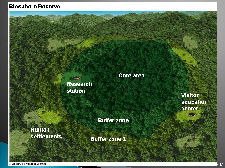 Biosphere Reserve Core area Research station Visitor education center Buffer zone 1 Human settlements