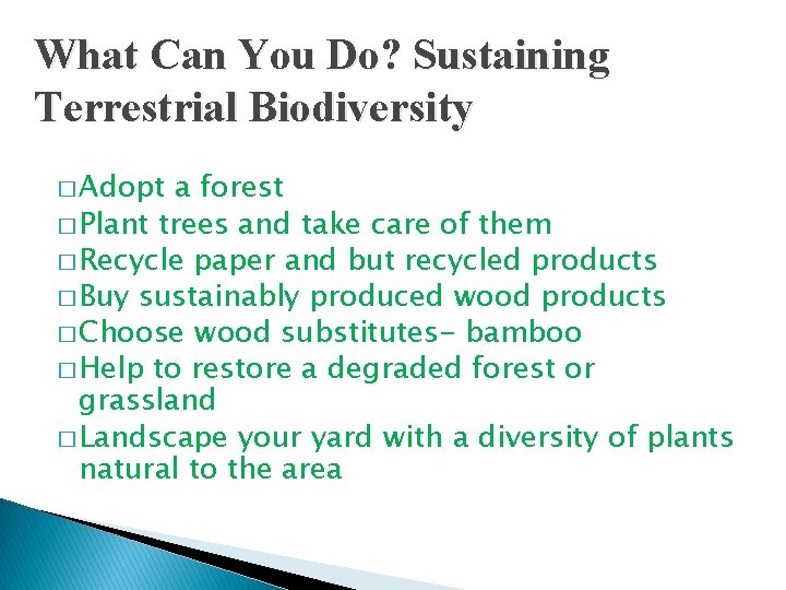 What Can You Do? Sustaining Terrestrial Biodiversity � Adopt a forest � Plant trees