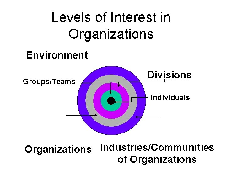 Levels of Interest in Organizations Environment Groups/Teams Divisions Individuals Organizations Industries/Communities of Organizations 