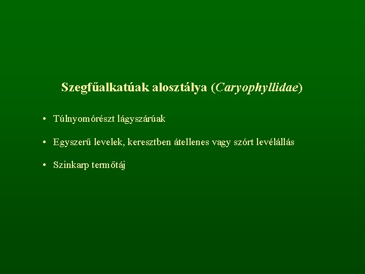 Szegfűalkatúak alosztálya (Caryophyllidae) • Túlnyomórészt lágyszárúak • Egyszerű levelek, keresztben átellenes vagy szórt levélállás