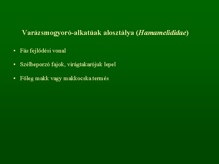 Varázsmogyoró-alkatúak alosztálya (Hamamelididae) • Fás fejlődési vonal • Szélbeporzó fajok, virágtakarójuk lepel • Főleg