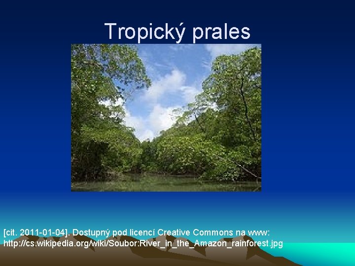 Tropický prales [cit. 2011 -01 -04]. Dostupný pod licencí Creative Commons na www: http: