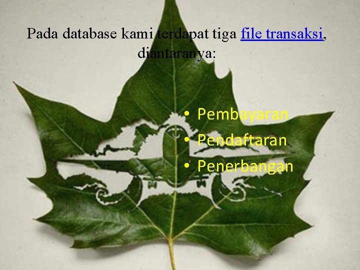 Pada database kami terdapat tiga file transaksi, diantaranya: • Pembayaran • Pendaftaran • Penerbangan