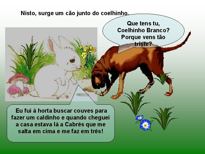 Nisto, surge um cão junto do coelhinho. Que tens tu, Coelhinho Branco? Porque vens